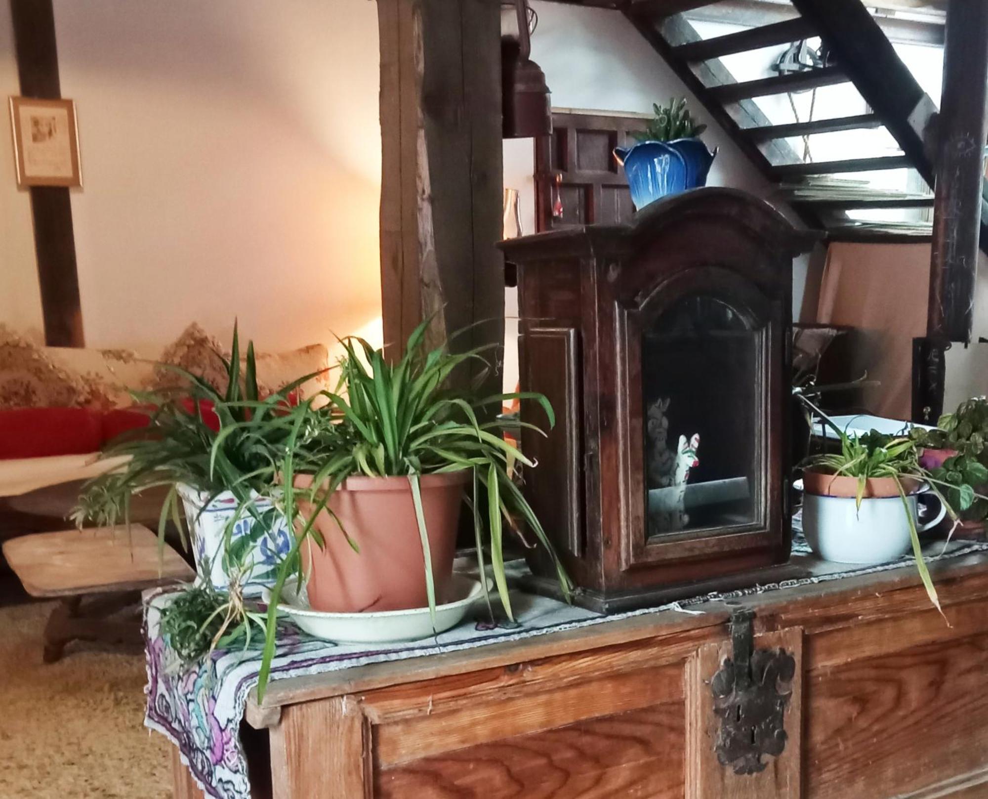 Suite En Cuadra Pajar, Casa Rural Hoz de Jaca Bagian luar foto